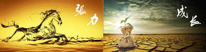 企業(yè)發(fā)展要學(xué)會(huì)取他人之長、補(bǔ)自己之短